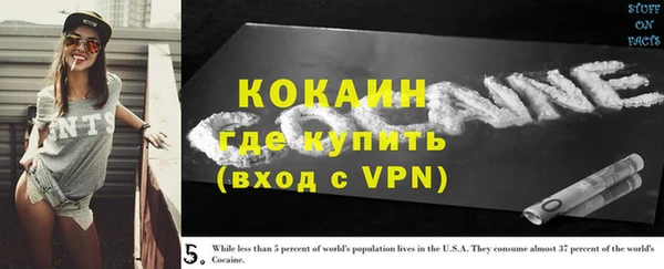 стаф Киренск