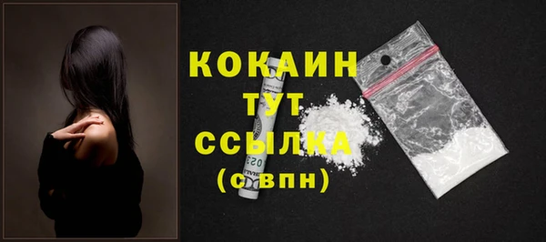 стаф Киренск