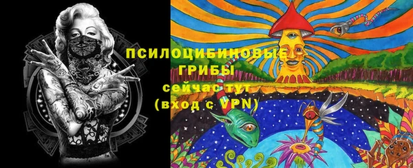 СК Кинешма