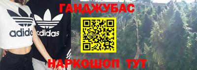 крисы Кулебаки