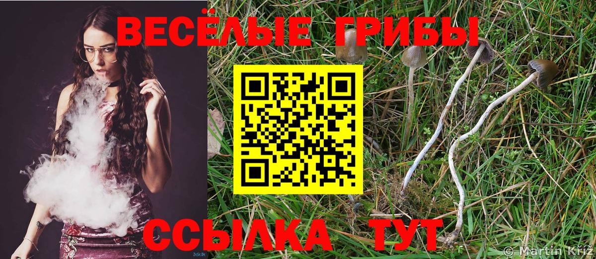 Псилоцибиновые грибы MAGIC MUSHROOMS Прокопьевск