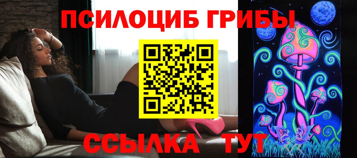 Галлюциногенные грибы Psilocybe  Псилоцибиновые грибы GOLDEN TEACHER  Прокопьевск  Вход с VPN 